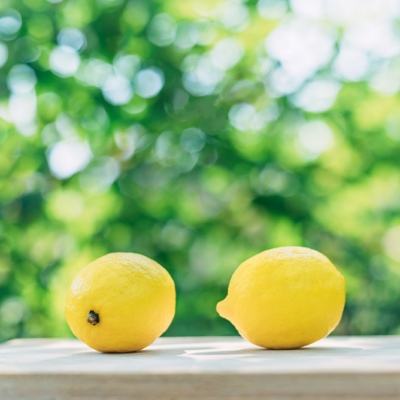 桃缘飞仙h5下载